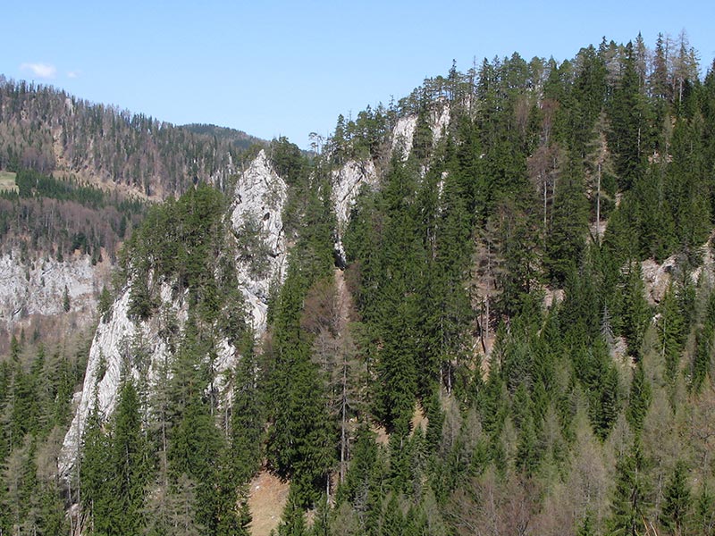 spielmannkogel